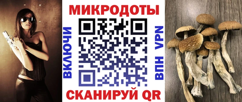 Псилоцибиновые грибы ЛСД  МЕГА ССЫЛКА  Таштагол  купить наркотик 